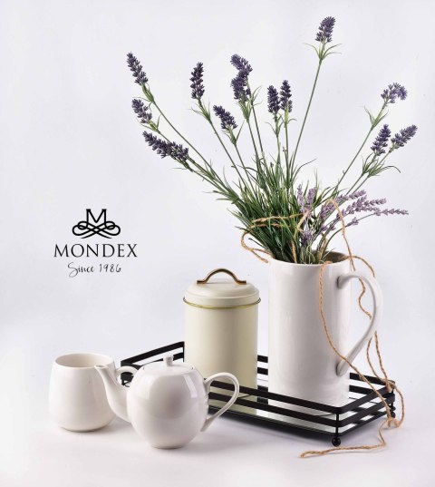 Metalowa Taca Dekoracyjna CEDRIC 39 cm – Czarna z Lustrem, Prostokątna